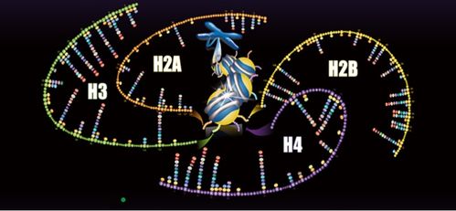 聚焦蛋白質組學技術開發與應用，景杰生物完成5.3億元B輪融資以加速技術推廣